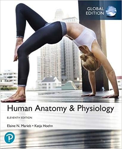 Human Anatomy & Physiology, Global Edition 11th ed